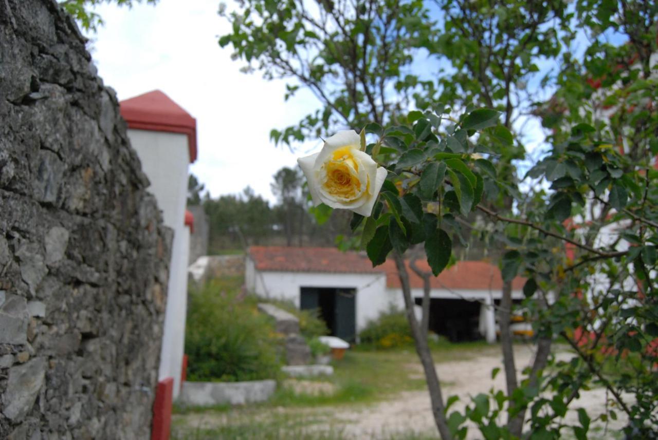 Prédio na Amêndoa Vila Exterior foto